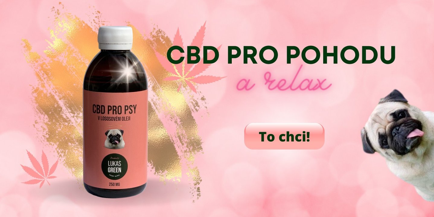 CBD olej pro psy proti stresu a strachu